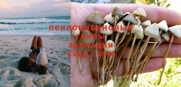синтетический гашиш Алексеевка