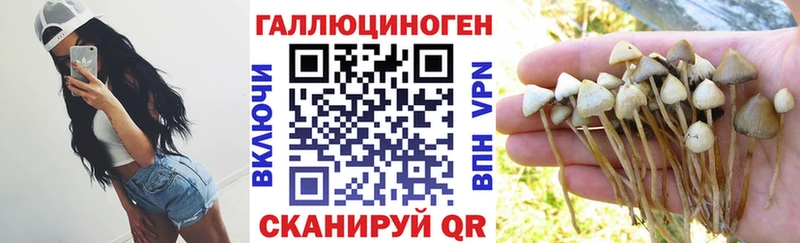 Галлюциногенные грибы мухоморы  сколько стоит  Цивильск 